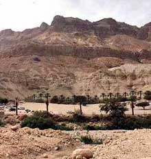 Иудейская пустыня в районе оазиса Ейн-Геди