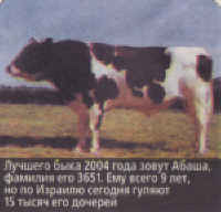 bull Abasha